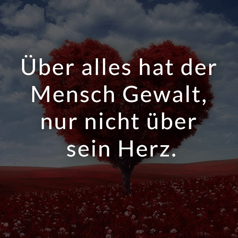 Über alles hat der Mensch Gewalt, nur nicht über sein Herz.