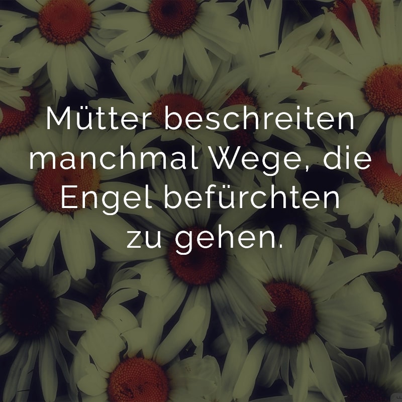 Mütter beschreiten manchmal Wege, die Engel befürchten zu gehen.