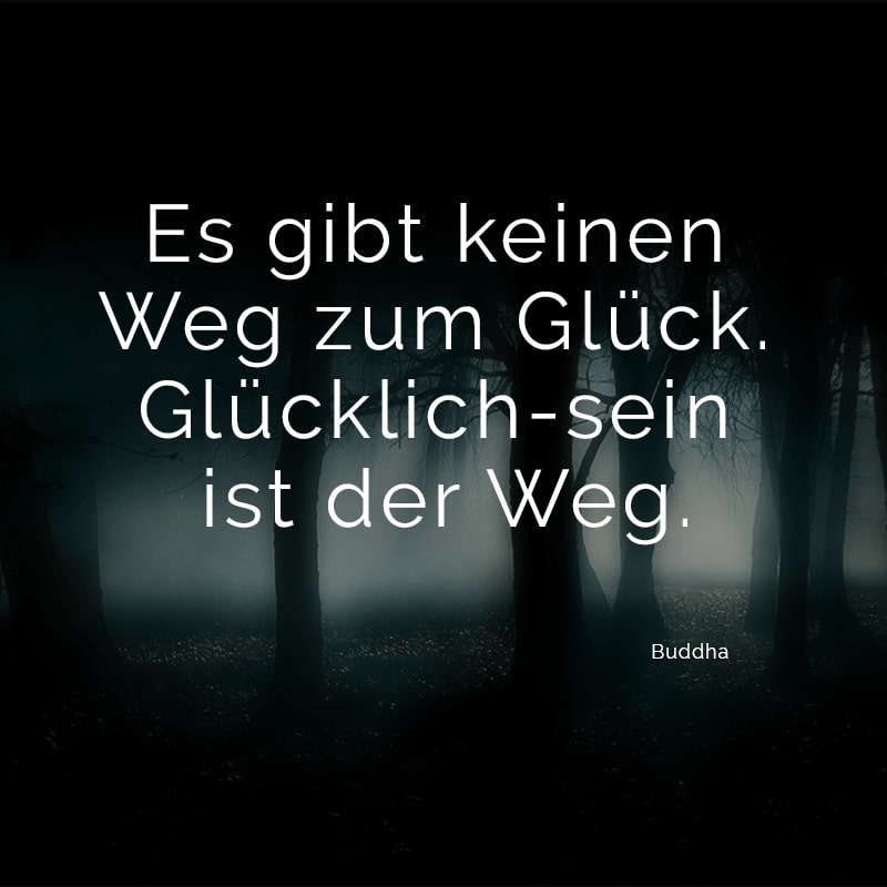 Es gibt keinen Weg zum Glück. Glücklich-sein ist der Weg.
(Buddha)