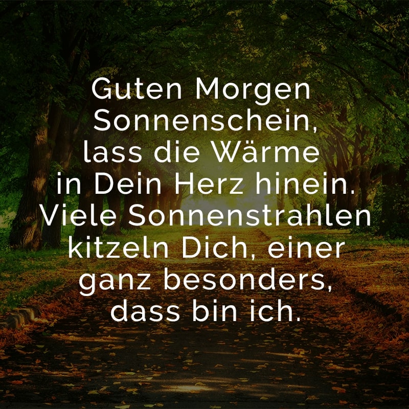 Guten Morgen Sonnenschein,
lass die Wärme in Dein Herz hinein.
Viele Sonnenstrahlen kitzeln Dich,
einer ganz besonders, dass bin ich.