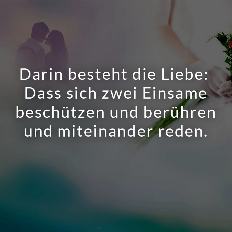 Darin besteht die Liebe: Dass sich zwei Einsame beschützen und berühren und miteinander reden.