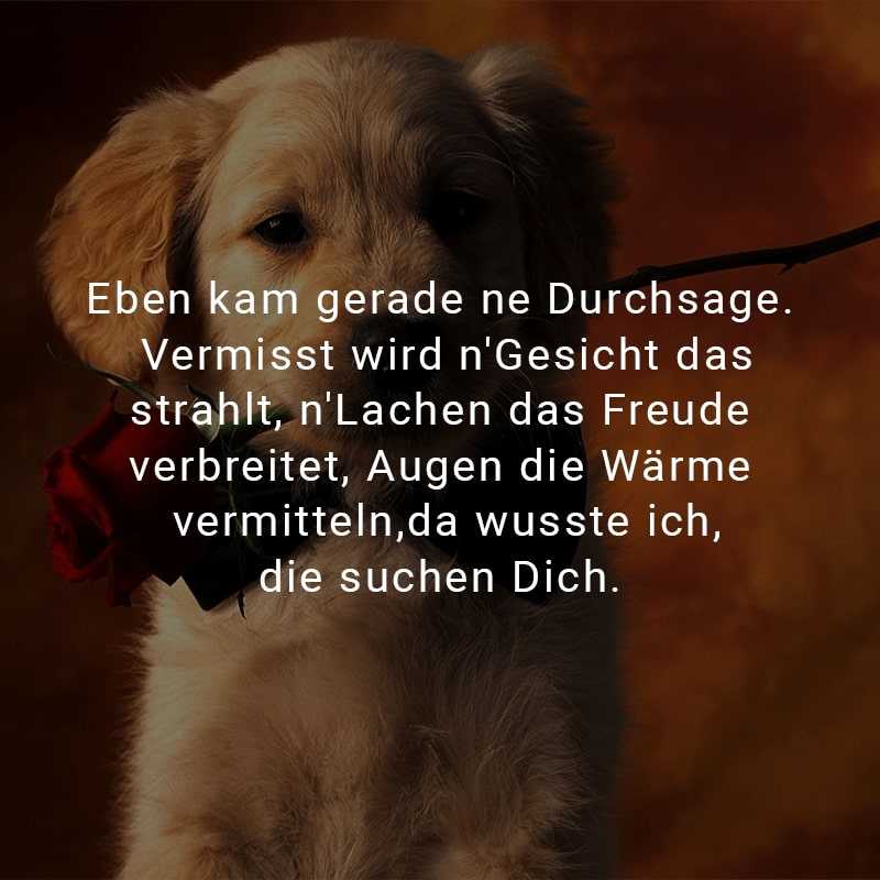 Eben kam gerade ne Durchsage.
Vermisst wird n'Gesicht das strahlt,
n'Lachen das Freude verbreitet,
Augen die Wärme vermitteln,
da wusste ich,die suchen Dich.