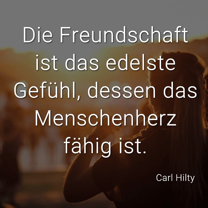 Die Freundschaft ist das edelste Gefühl, dessen das Menschenherz fähig ist.
(Carl Hilty)