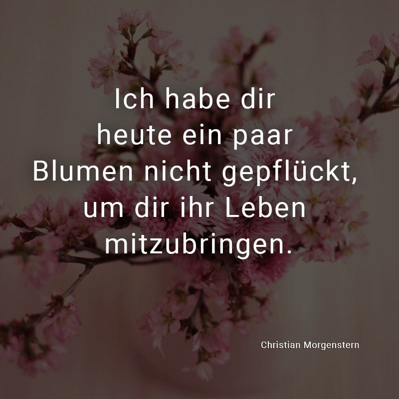 Ich habe dir heute ein paar Blumen nicht gepflückt, um dir ihr Leben mitzubringen.
(Christian Morgenstern)