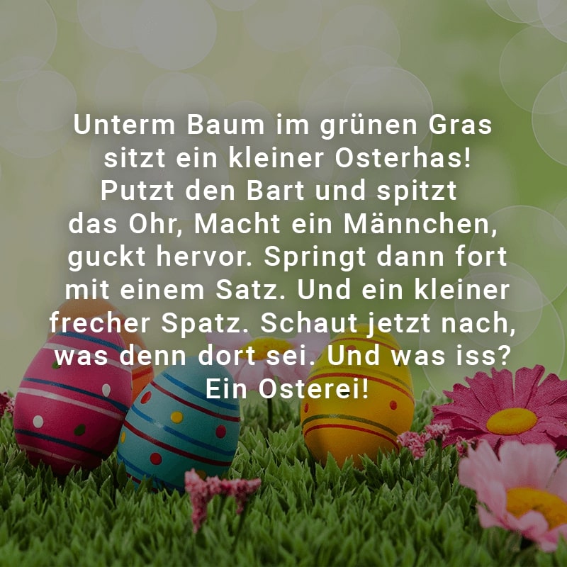 Unterm Baum im grünen Gras sitzt ein kleiner Osterhas!
Putzt den Bart und spitzt das Ohr, Macht ein Männchen, guckt hervor. 
Springt dann fort mit einem Satz. Und ein kleiner frecher Spatz. 
Schaut jetzt nach, was denn dort sei. Und was iss? Ein Osterei!