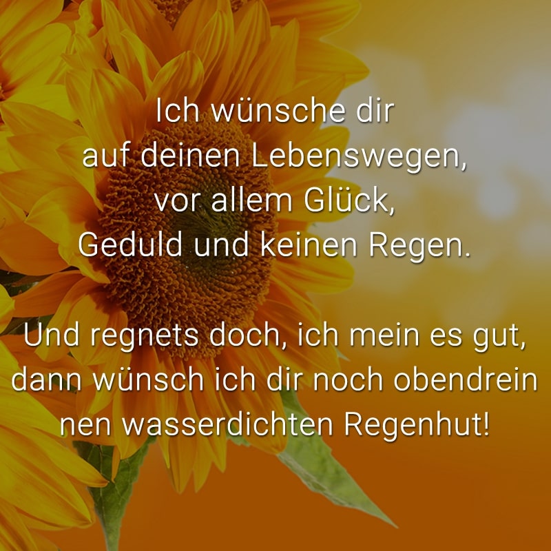 Ich wünsche dir auf deinen Lebenswegen,
vor allem Glück, Geduld und keinen Regen.

Und regnets doch - ich mein es gut -
dann wünsch ich dir noch obendrein
nen wasserdichten Regenhut!