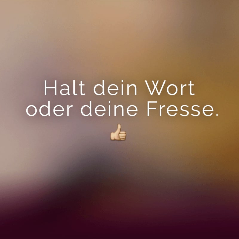 Halt dein Wort oder deine Fresse.