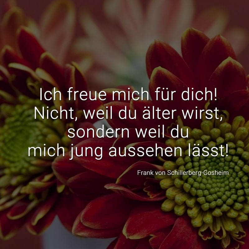 Ich freue mich für dich! Nicht, weil du älter wirst,
sondern weil du mich jung aussehen lässt!
(Frank von Schillerberg-Gosheim)