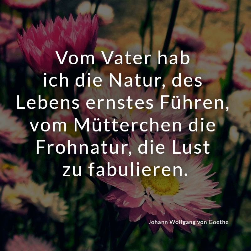 Vom Vater hab ich die Natur, des Lebens ernstes Führen, vom Mütterchen die Frohnatur, die Lust zu fabulieren.
(Johann Wolfgang von Goethe)