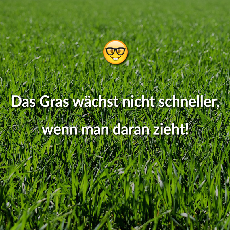 Das Gras wächst nicht schneller, wenn man daran zieht!