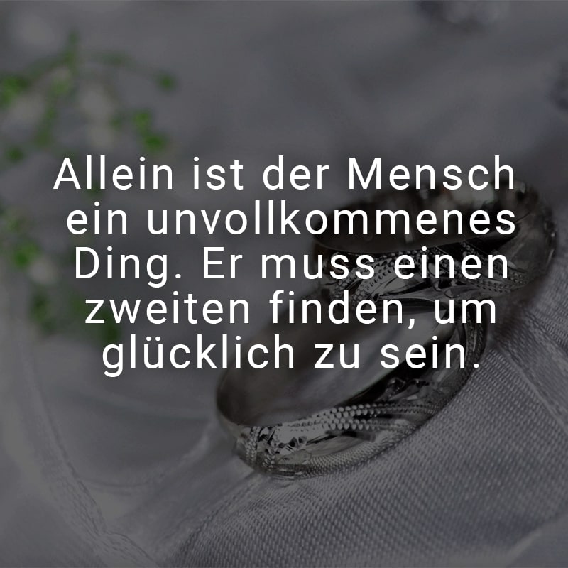 Allein ist der Mensch ein unvollkommenes Ding. Er muss einen zweiten finden, um glücklich zu sein.