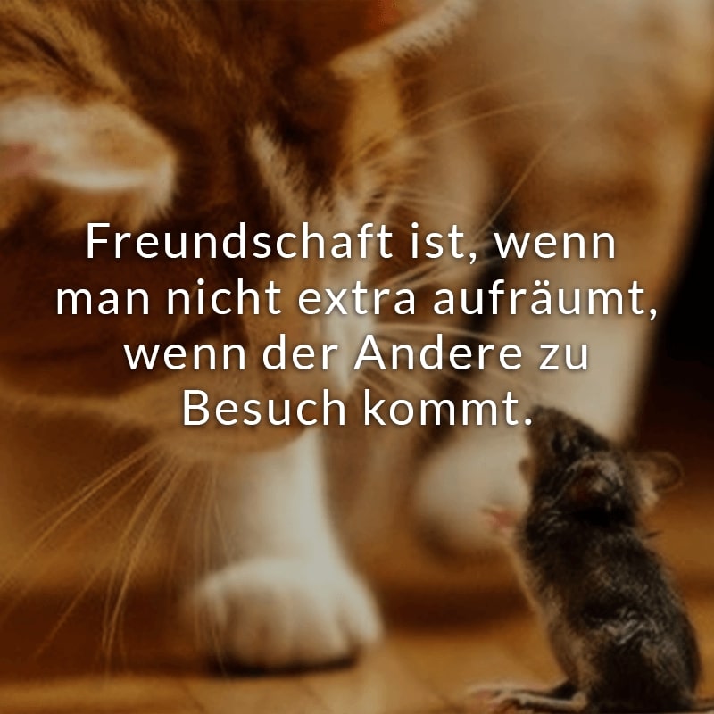 Freundschaft ist, wenn man nicht extra aufräumt, wenn der Andere zu Besuch kommt.