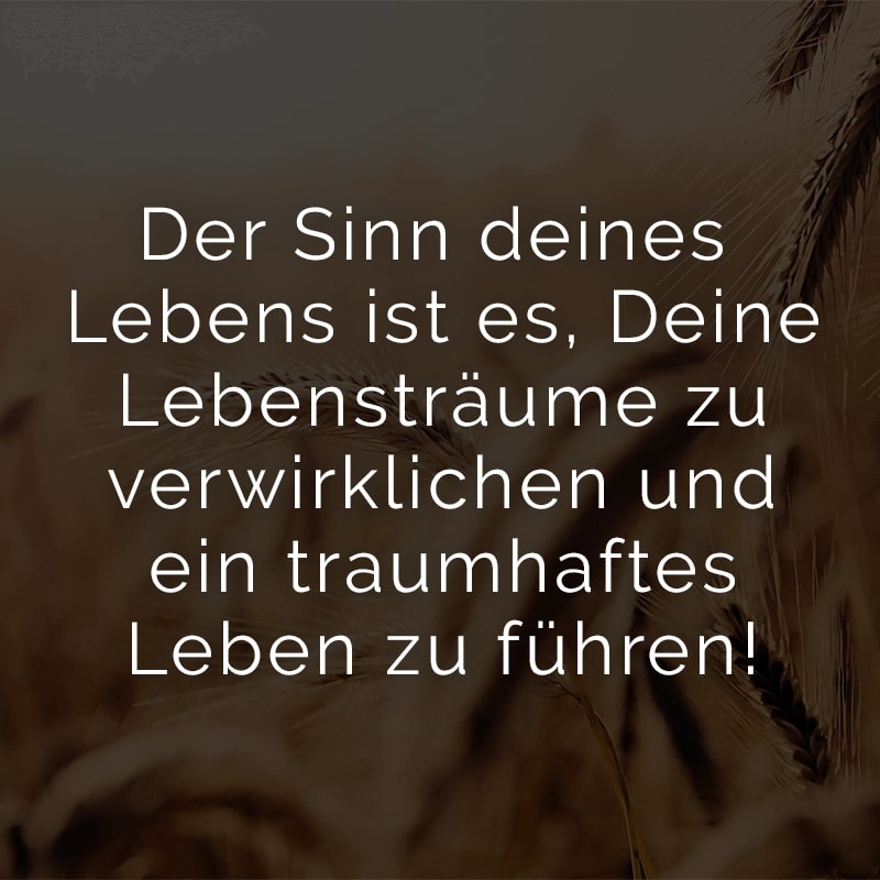 Der Sinn deines Lebens ist es, Deine Lebensträume zu verwirklichen und ein traumhaftes Leben zu führen!