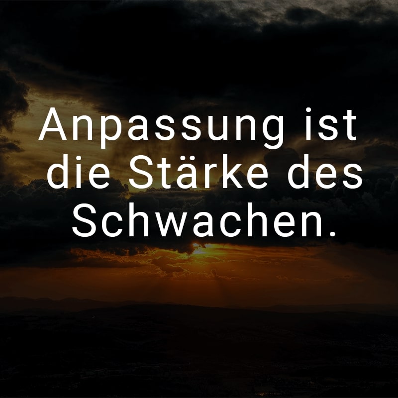 Anpassung ist die Stärke des Schwachen.